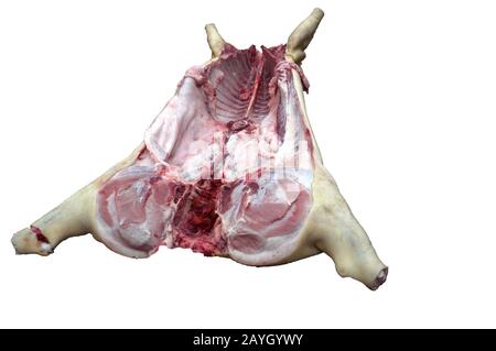 Der kopflose Schweinekadaver ist bereit, vom Metzger abgebaut zu werden. Fotografiert vom Schwanz. Auf weißem Hintergrund isolieren. Stockfoto
