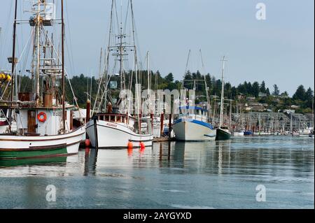 Newport, Oregon, USA - 23. August 2015: Marina an der Yaquina Bay, wurden Boote angedockt, in Newport, an der Oregon Coast Stockfoto
