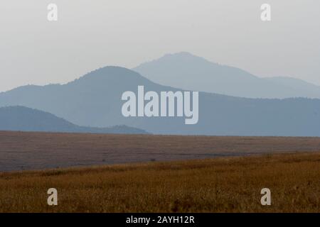 Blick auf die Grasland im Lewa Wildlife Conservancy in Kenia. Stockfoto