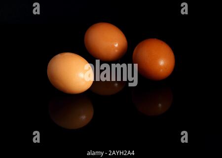 Drei Eier mit Spiegelung auf schwarzem Hintergrund Stockfoto