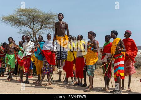 Eine Gruppe junger Samburu-Männer, die in traditioneller Kleidung gekleidet sind und einen traditionellen Springtanz in einem Dorf in Samburu in der Nähe des Samburu National Reserve ausführen Stockfoto