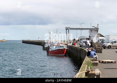 Amble Harbour mit Fischerbooten Stockfoto