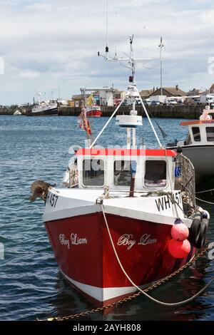 Ein Fischerboot im Amble Harbour Stockfoto