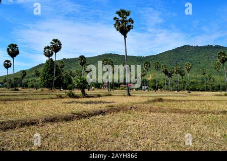 Blick auf die klassische kamboische Landschaft an einem schönen sonnigen Tag Stockfoto