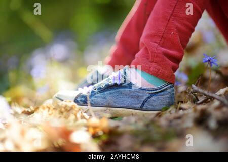 Nahaufnahme von Mädchen Schuhe im Wald an einem schönen sonnigen Frühlingstag. Das Kind pflückt die ersten Blumen des Frühlings im Freien. Kinder erkunden die Natur. Stockfoto