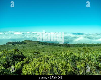 Blauer Himmel und üppige grüne Vegetation über den Wolken mit Kopierraum. Stockfoto