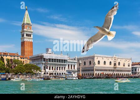 Piazza San Marco oder Markusplatz in Venedig, Italien. Campanile und Doge's Palace. Möwe fliegt über die Lagune von Venedig. Stockfoto