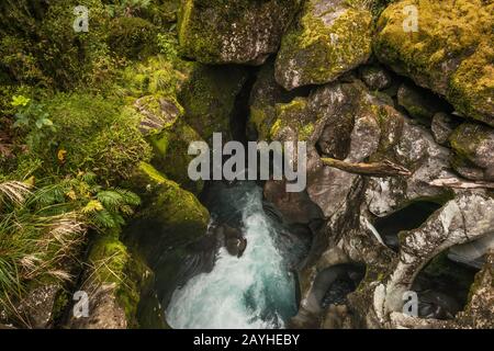 Schlaglöcher, die in Felsen am Cleddau River am Chasm, Fiordland National Park, in der Nähe von Milford Sound, Southland Region, South Island, Neuseeland gemahlen werden Stockfoto