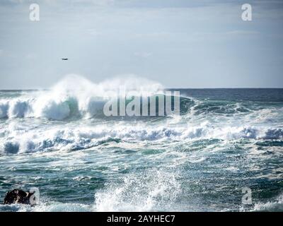 Große Wellen am Nordufer von Oahu mit Aquamarin Meere, weißem Schaum und blauem Himmel. Drohne, die über den Kopf fliegt, versucht Surfer einzufangen. Stockfoto