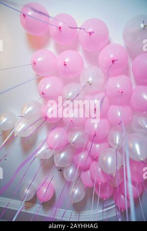 Hochzeit oder Kinder Geburtstag Party Dekoration Interieur . Heliumballons . An der weißen Decke im Raum für den schweben rosafarbene und weiße Ballons Stockfoto
