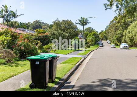 Australisches Haus und Garten mit Pflanzen und Gras im Sydney Vorort Mona Vale, New South Wales, Australien Stockfoto