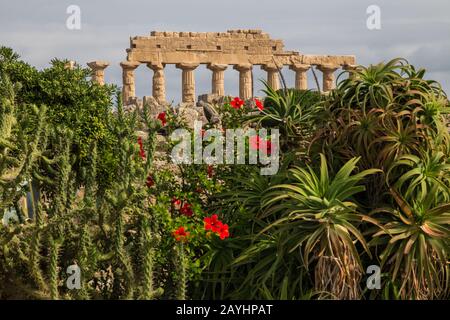 Selinunte - eine der wichtigsten griechischen Kolonien auf Sizilien. Das größte Archäologische Gebiet Europas Stockfoto