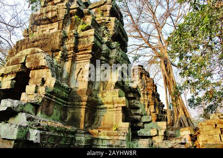 Malerischer Ta Prohm Tempel in Siem Reap in Kambodscha. Es ist Teil der UNESCO-Welterbe-Liste und wurde in dem 2001er Blockbuster-Epos "Lara Croft Stockfoto