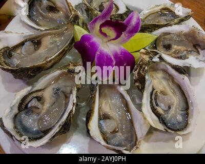 Frische Austern mit Orchideenblume und Zitronenblick, Nahaufnahme Stockfoto