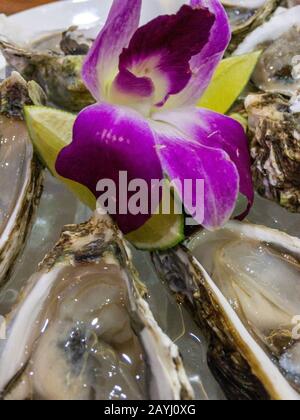 Frische Austern mit Orchideenblume und Zitronenblick, Nahaufnahme Stockfoto