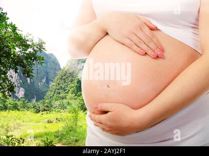 Ein süßer schwangerer Bauch in der Natur Stockfoto