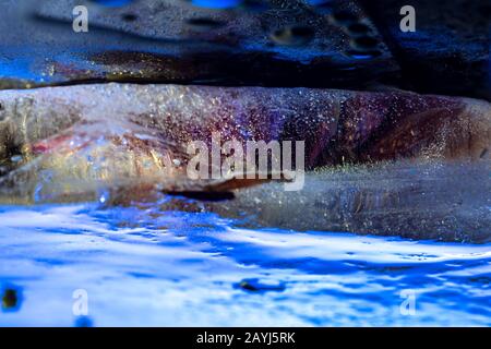Goldene Luftblasen im gefrorenen Eisblock - zeitgenössischer abstrakter Hintergrund Stockfoto