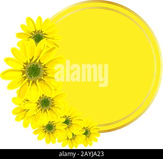 Vektor runder Hintergrund für eine Beschriftung. Gelbes Muster mit Blumen. Design für Werbung oder Werbeaktionen, Verkauf. Frühlingsblumen. Vektor Stock Vektor