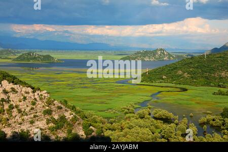 Skadar-See in der Nähe von Poseljani, Montenegro, Skadarsee-Nationalpark Stockfoto