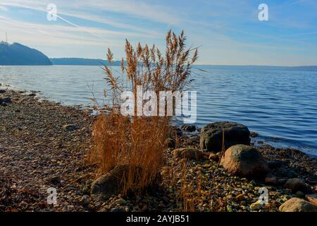 Ufer des Flensburger Firth, Deutschland, Schleswig-Holstein Stockfoto