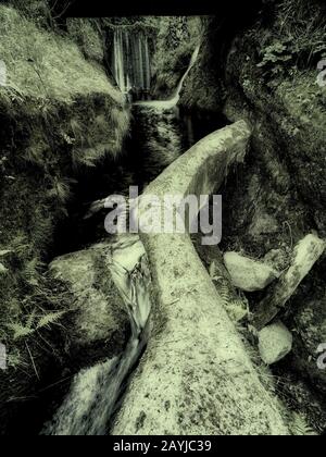 Wasserkanal auf dem Lewada-Spaziergang im sonnigen Ribeiro Frio, Madeira, Portugal, Europäische Union Stockfoto