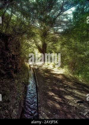 Wasserkanal auf dem Lewada-Spaziergang im sonnigen Ribeiro Frio, Madeira, Portugal, Europäische Union Stockfoto