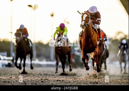 New Orleans, USA. Februar 2020. 15. Februar 2020: #7 Finite und Jockey Ricardo Santana Jr. gewinnen die Kategorie-2 Rachel Alexandrea Einsätze in einem Aufregen während Des "Risen Star Stakes Day" auf dem Fair Grounds Race Course in New Orleans, Louisiana. Scott Serio/Eclipse Sportswire/CSM/Alamy Live News Stockfoto