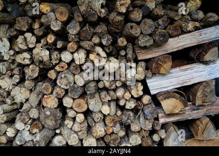 Ein Brennholzstapel in einem Schuppen, der für Winterheizungen und -Kochen bereit ist, Neuseeland. Stockfoto