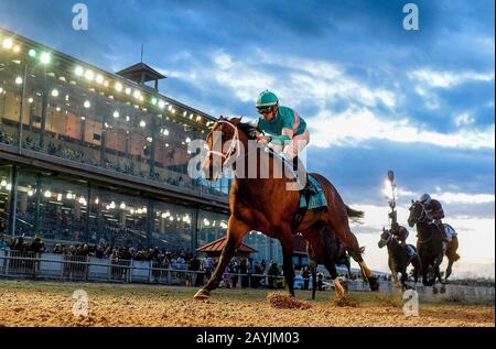 New Orleans, USA. Februar 2020. 15. Februar 2020: #9 Mr. Monomoy und Jockey Florent Geroux gewinnen während Des "Risen Star Stakes Day" auf dem Fair Grounds Race Course in New Orleans, Louisiana, die Auferstandene Star Division I. Scott Serio/Eclipse Sportswire/CSM/Alamy Live News Stockfoto