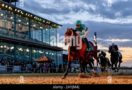 New Orleans, USA. Februar 2020. 15. Februar 2020: #9 Mr. Monomoy und Jockey Florent Geroux gewinnen während Des "Risen Star Stakes Day" auf dem Fair Grounds Race Course in New Orleans, Louisiana, die Auferstandene Star Division I. Scott Serio/Eclipse Sportswire/CSM/Alamy Live News Stockfoto