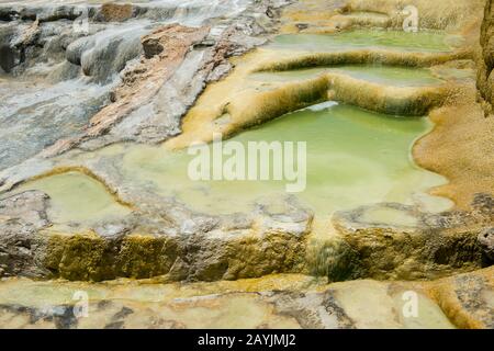 Details zu Kalziumkarbonat und anderen Mineralvorkommen in Hierve el Agua in der Nähe von Oaxaca, Südmexiko. Stockfoto