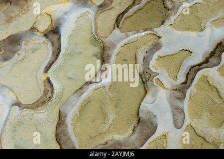 Details zu Kalziumkarbonat und anderen Mineralvorkommen in Hierve el Agua in der Nähe von Oaxaca, Südmexiko. Stockfoto