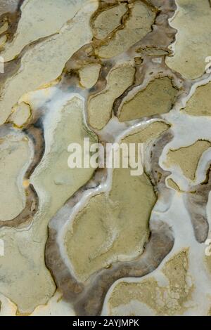 Details zu Kalziumkarbonat und anderen Mineralvorkommen in Hierve el Agua in der Nähe von Oaxaca, Südmexiko. Stockfoto