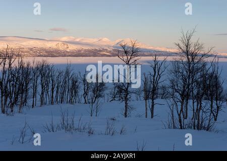 Blick vom Hotel Fjallet auf den gefrorenen und schneebedeckten Tornetrasksee im schwedischen Lappland, Nordschweden. Stockfoto