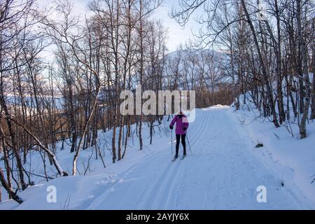 Eine Frau (Modell-Release 20020923-10) ist Skilangläufer bei Bjorkliden im schwedischen Lappland, Nordschweden. Stockfoto