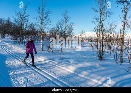 Eine Frau (Modell-Release 20020923-10) ist Skilangläufer bei Bjorkliden im schwedischen Lappland, Nordschweden. Stockfoto