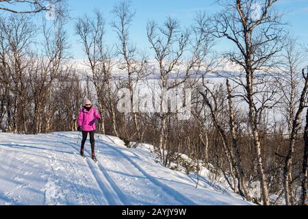 Eine Frau (Modell-Release 20020923-10) ist Skilangläufer bei Bjorkliden im schwedischen Lappland, Nordschweden. Stockfoto