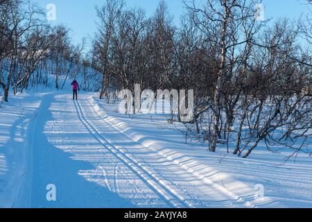 Eine Frau (Modell-Release 20020923-10) ist Skilangläufer bei Bjorkliden im schwedischen Lappland, Nordschweden. Stockfoto