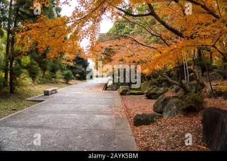 Farbenfroher Herbstblick mit verwelkten, gestürzten Blättern, die im Tsurumi Ryokuchi Park, Osaka, Japan, auf dem Boden verstreut sind Stockfoto