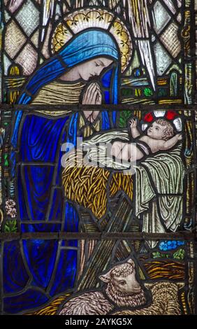 Historisches Glasfenster, das die Jungfrau Maria zeigt, die über dem Baby Jesus betet, das in einer strohgefüllten Krippe mit Lämmern liegt. Stockfoto