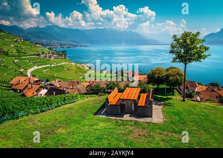 Atemberaubender Blick von der Ruhestätte mit Weinbergen und dem Genfer See im Hintergrund. Tisch und Bänke auf dem Hügel mit toller Aussicht, Dorf Rivaz, See Stockfoto