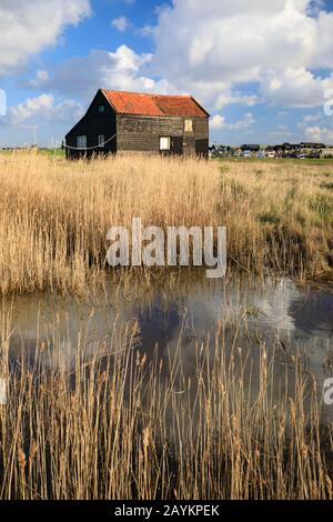 Ein Gebäude in Walberswick Marshes in Suffolk. Stockfoto