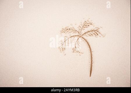Einfache handgefertigte Zeichnung einer Palme im Sand Stockfoto
