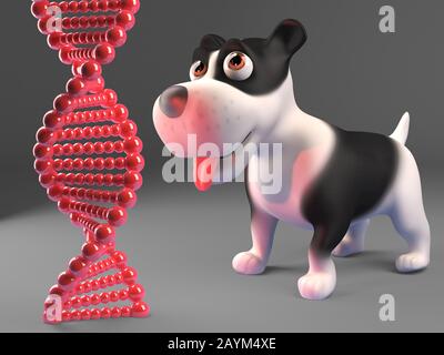 Cleverer Welpenthund untersucht einen DNA-Strang, 3D-Illustration rendert Stockfoto