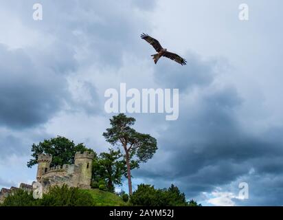 Warwick castle Stockfoto