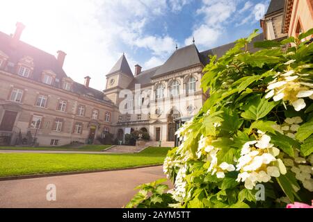 Blumen und Zitieren Universitaire University in Paris Eingang zum Gebäude Stockfoto