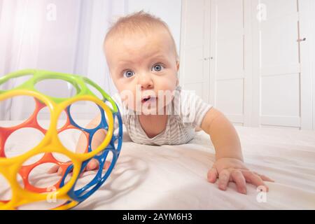 Niedliche kleine Kleinkind lernen, nach buntem Spielzeug zu krabbeln Stockfoto