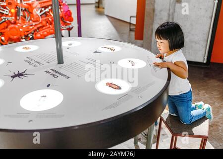 Berlin, DEUTSCHLAND - 19. MAI 2018: Asian Child Girl per interaktivem Touchscreen, um über Insekten Stimmen in einem Museum zu wissen Stockfoto