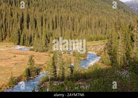 Wiesen rund um den Lech im oberen Lechtal, Lech, Arlberg, Österreich Stockfoto