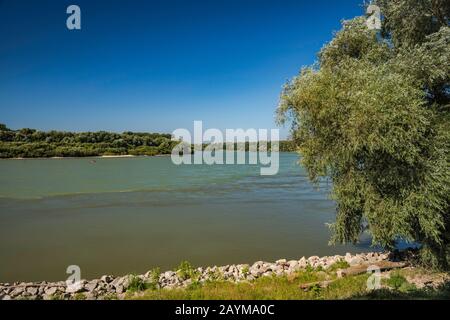 Donau-Fluss, in der Nähe des Zusammenflusses mit Morava, Blick unterhalb der Burg Devin in Bratislava, Slowakei Stockfoto